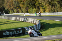 Lower Group White Bikes